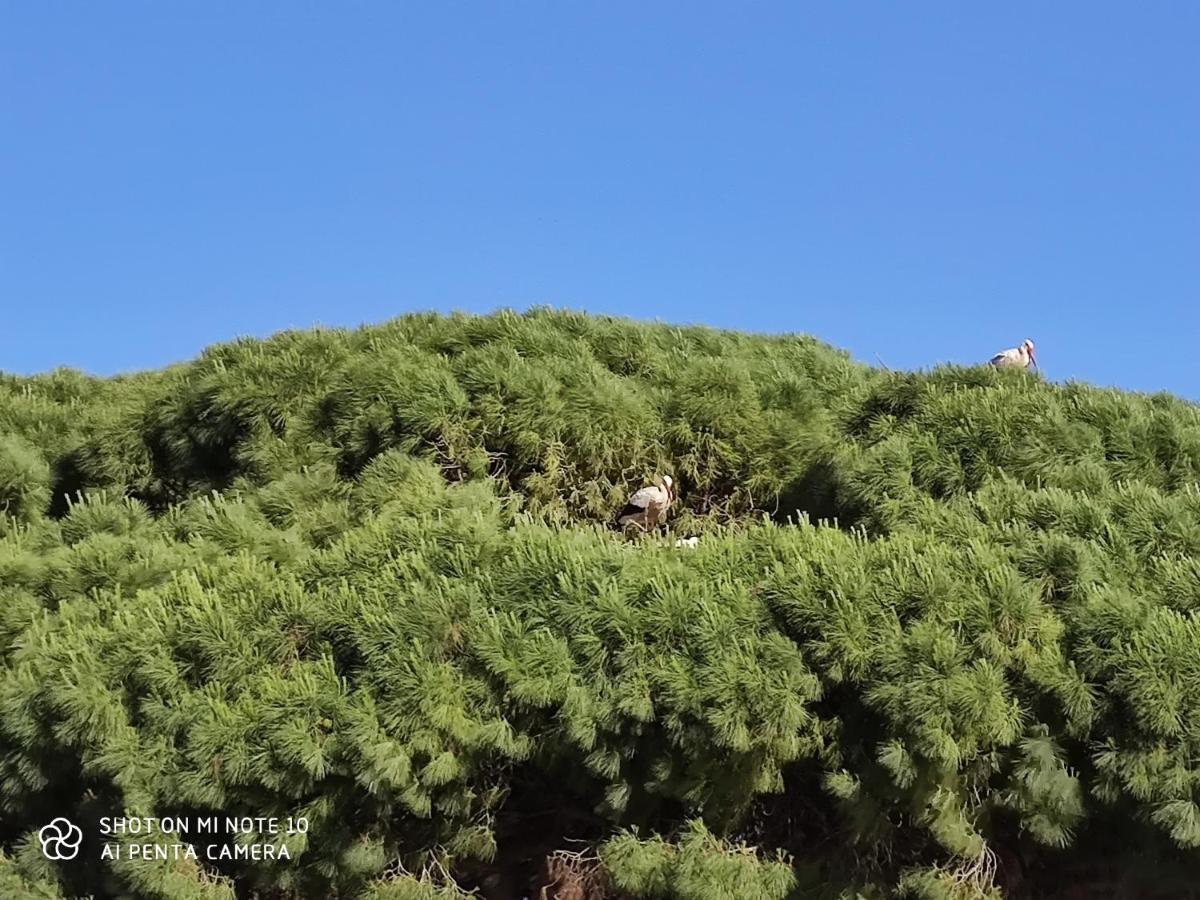Pueblos Blancos Vejer de la Frontera Luaran gambar