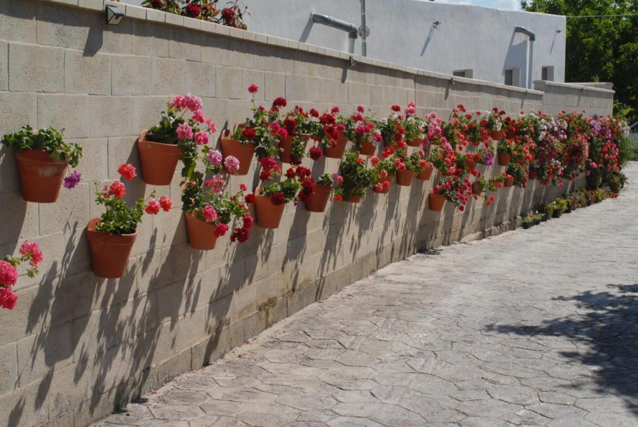 Pueblos Blancos Vejer de la Frontera Luaran gambar